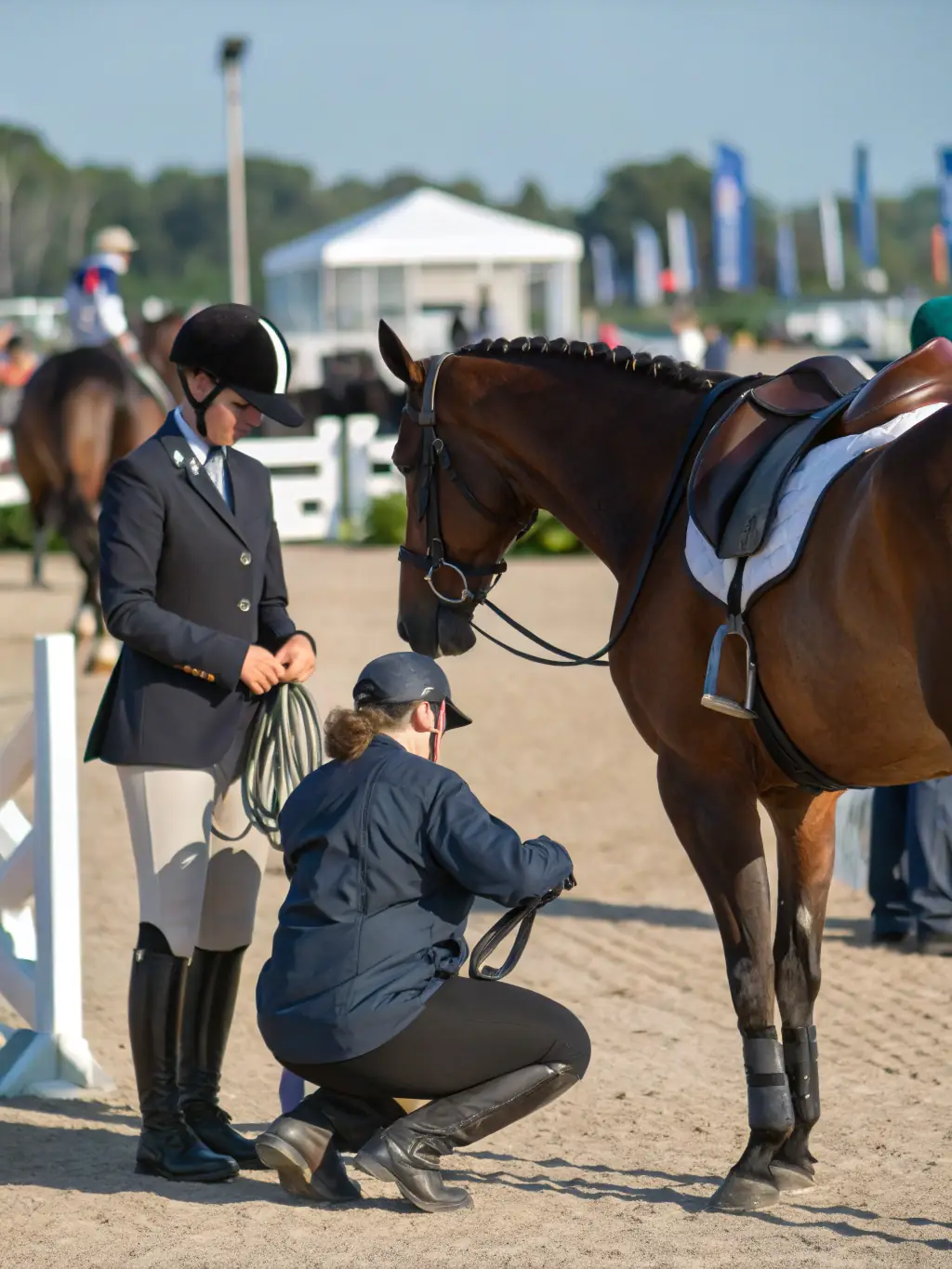 A picturesque scene of a horse show, with elegantly dressed riders and beautifully groomed horses performing intricate maneuvers, emphasizing the artistry and skill involved.